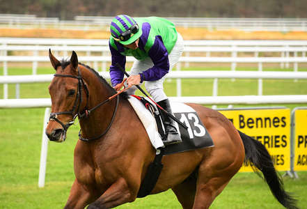 Actualités Hippiques